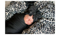 Black | Ruffled Baby Headband